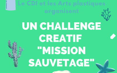 Challenge créatif CDI-Arts plastiques « Mission sauvetage »